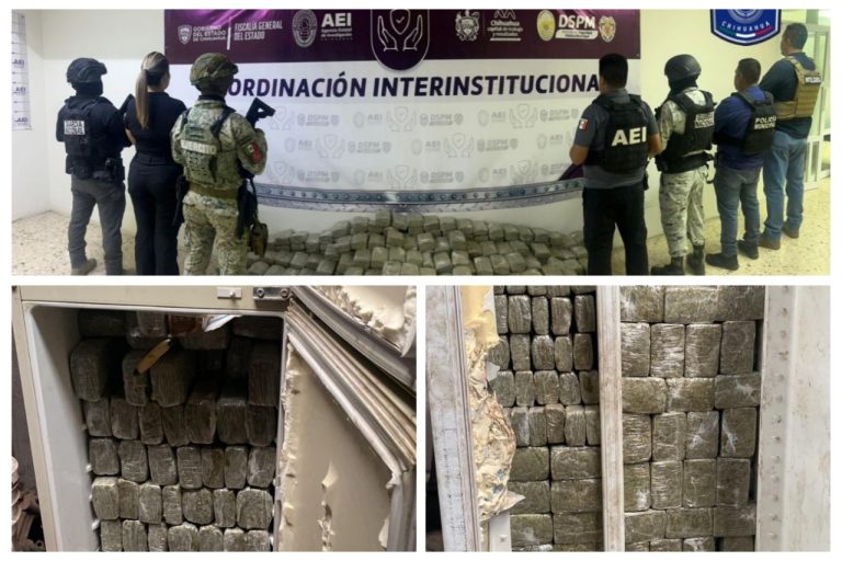 Asegura Fiscalía en operativo conjunto cerca de 300 kilos de marihuana en un domicilio de Chihuahua