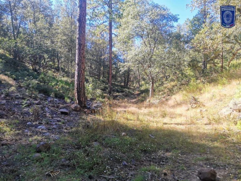 Localiza FGE una osamenta durante rastreo en el municipio de Madera