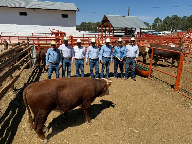 Invierte Gobierno del Estado más de 10 mdp en el mejoramiento genético del ganado