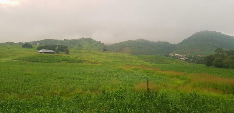 Prevé Protección Civil ambiente muy frío y heladas en la región serrana