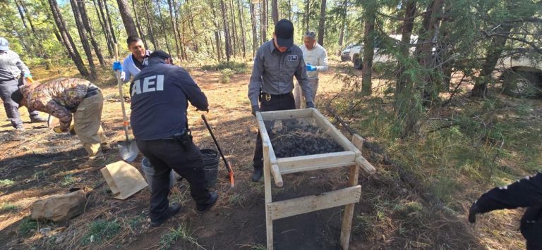Localizan fragmentos óseos y evidencia en rastreo efectuado en Madera