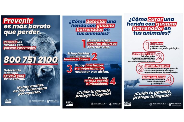 Estados Unidos y México lanzan campaña educativa conjunta para la prevención y detección del gusano barrenador del ganado