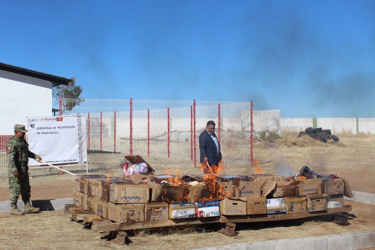 Destruyen FGE y Sedena 231 kilos de droga en combate al narcomenudeo