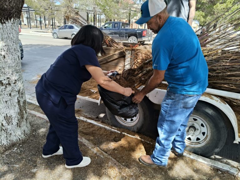 Entregan 1,000 árboles de manzana en Anáhuac