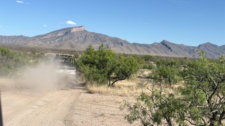 Se registra enfrentamiento entre civiles armados y policías estatales en Ojinaga
