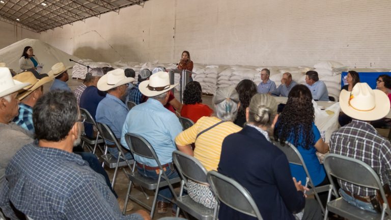 Entregan 547 toneladas de maíz a productores de Cuauhtémoc